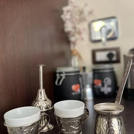 Loft In Centro Mole Antonelliana 都灵